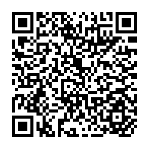 QR Code for Empowering Conditions in the Decentralisation Process: An Analysis of Dynamics,Factors and Actors in Panchayati Raj Institutions From West Bengal and Karnataka,India