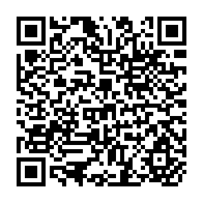 QR Code for Every Student's Guide To The Internet