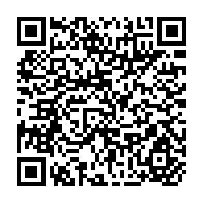 QR Code for Paradox for Windows