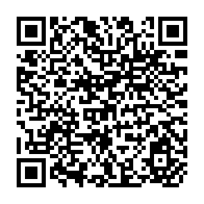 QR Code for Price Prospects For Major Primary Commodities, 1990-2005