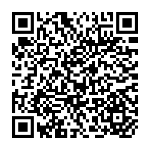 QR Code for Family productivity,Labour supply,and welfare in a low-income country