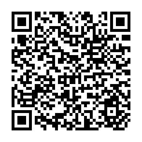QR Code for Income Gains for the Poor from Public Works Employment