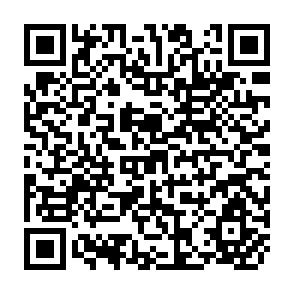 QR Code for Problems of Developing Countries in the 1990s
