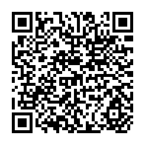 QR Code for Public policy for the promotion of family farms in italy