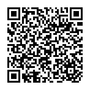 QR Code for Supporting Democracy