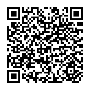 QR Code for Decision Support Systems for Sustainable Development