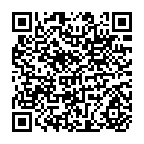 QR Code for The Millennium Round and the Asian Economies: An Introduction