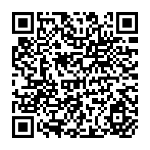 QR Code for Marx and Modern Economics