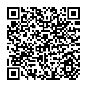 QR Code for Microfinance Handbook