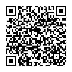 QR Code for Psychoanalysis as a human science: Beyond foundationalism