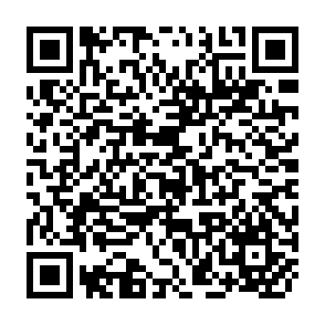 QR Code for Asian perspectives on psychology