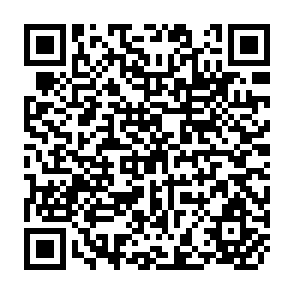 QR Code for Human Development Report 1999/2000