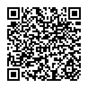 QR Code for A Citizen's Guide to the Globalisation of Finance