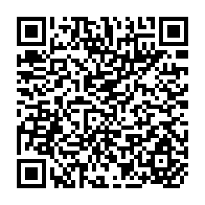 QR Code for Paper Cuts: Recovering the Paper Landscape