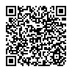 QR Code for Latin America: Under Development or Revolution