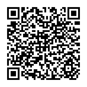 QR Code for Development in Practice - Governance