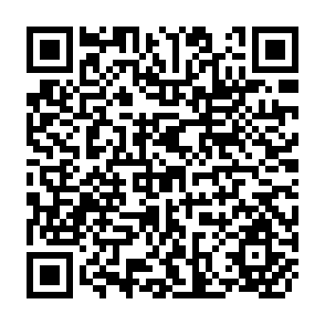 QR Code for Press Freedom