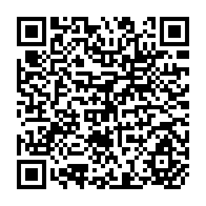QR Code for Dose Paradise Have a Future? A Three-Gap Analysis of The Fiji Economy