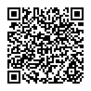 QR Code for Drawing a Line-Ethical and Political Stratergies in Complex Emergency Assistance