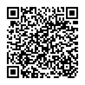 QR Code for Gender and politics in palestine:Discourse analysis of the palestinian authority &Islamists