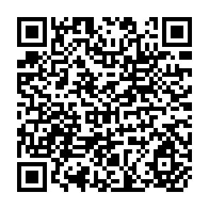 QR Code for Facing Unemployment: Urban Layoffs and the Way Out in Post-Reform China(1993-1999) - An Empirical and Theoretical Analysis