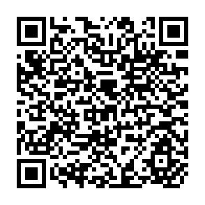 QR Code for Nutrition National Development and Planning