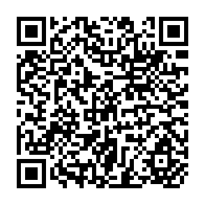 QR Code for The Household Dimension of the Family in India