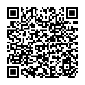 QR Code for The Political of Land Use