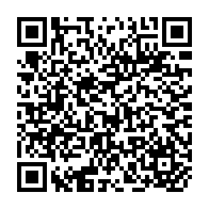 QR Code for Development in Microcomputing- Discovering New Opportunities for Libraries in the 1990s