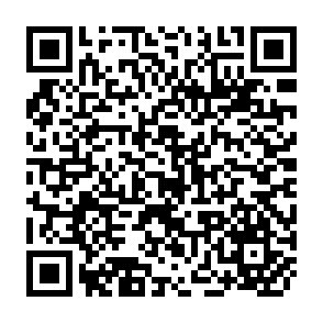 QR Code for Opportunity 2000:Understanding and Serving Users in an Electronic Library