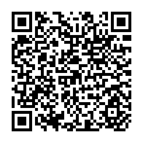 QR Code for Agris Introduction