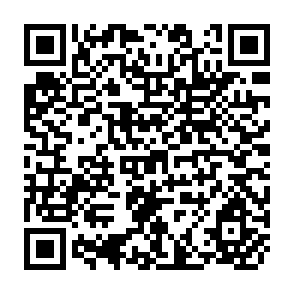 QR Code for The Third World in the Age of Globalisation: Requiem or New Agenda?