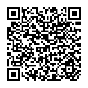 QR Code for Planet Dialectics: Explorations in Environment and Development