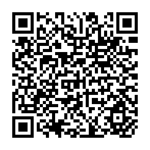 QR Code for International Economics and Development