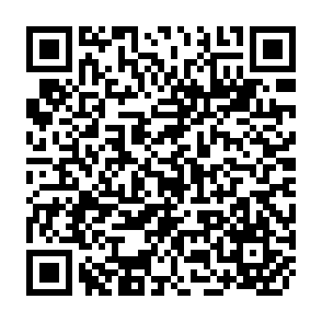 QR Code for The Subsistence Perspective