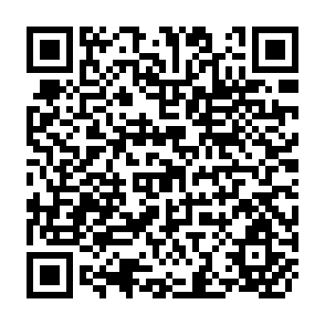QR Code for Sustaibability and The Social Sciences