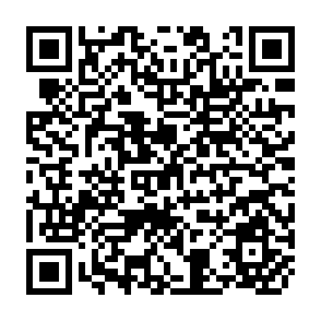 QR Code for Social Capital?From Pizza Connection to Collective Action and Inquiry in to Power,Culture and Civil Society