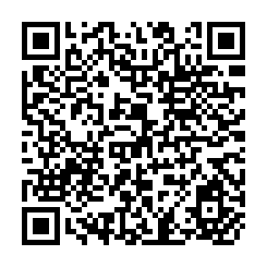 QR Code for How to make a Milk Market: A Case Study from the Ethiopian Highlands
