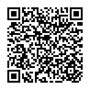 QR Code for The Radio Programme