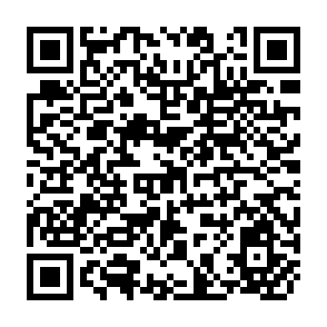 QR Code for From the World Development Indicators