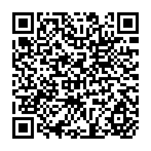 QR Code for Food Safety Issues in the Developng World