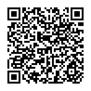 QR Code for Human Development Report 2000