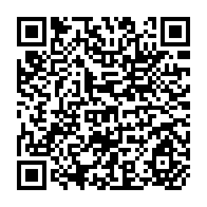 QR Code for Export Development Of Artisanal Products