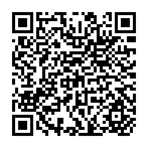 QR Code for Productivity And Performance Of Irrigated Wheat Farms Across Canal Commands In The Lower Indus Basin