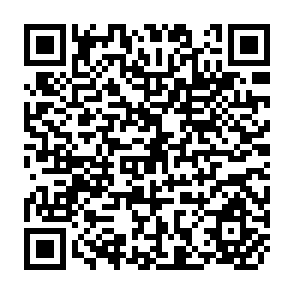 QR Code for Development of National-level Criteria and Indicators for the Sustainable Management of Dry Forests in Asia: background Papers