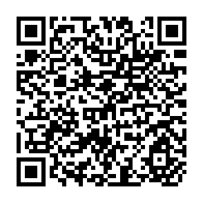 QR Code for World Development Report 2000/2001