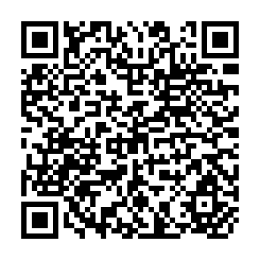QR Code for Anticorruption in Transition A Contribution to the Policy Debate