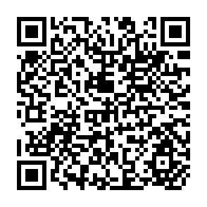 QR Code for The international economy
