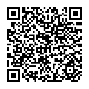 QR Code for The Effects of Protectionism on a Small Country