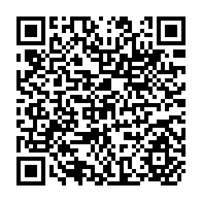 QR Code for Handbook of Livestock Statistics for Developing Countries